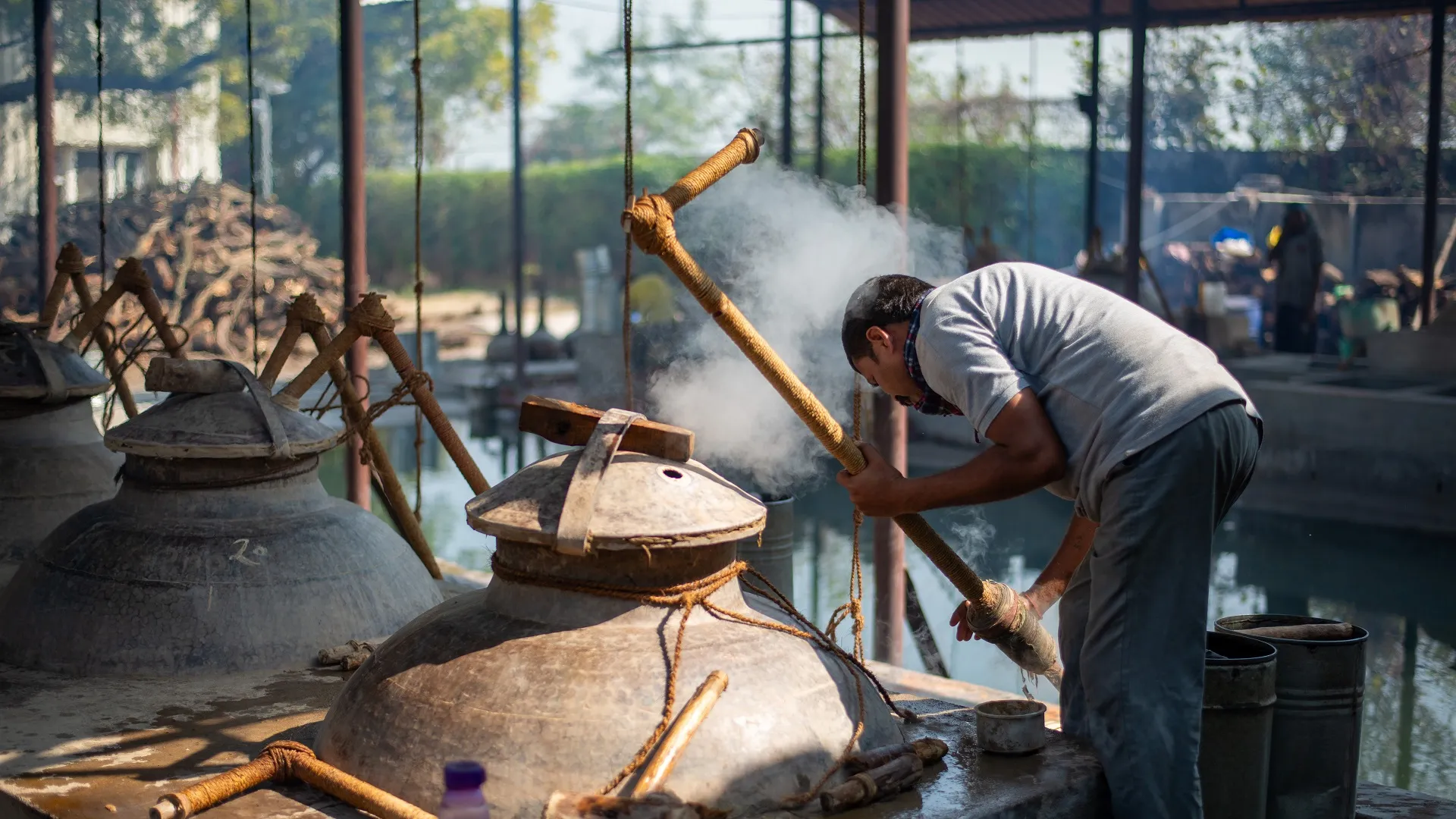 Nagaland Oudh – The Hidden Jewel